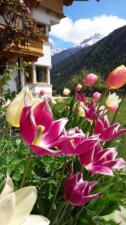 Landhaus Alpensonne Neustift im Stubaital Exterior foto